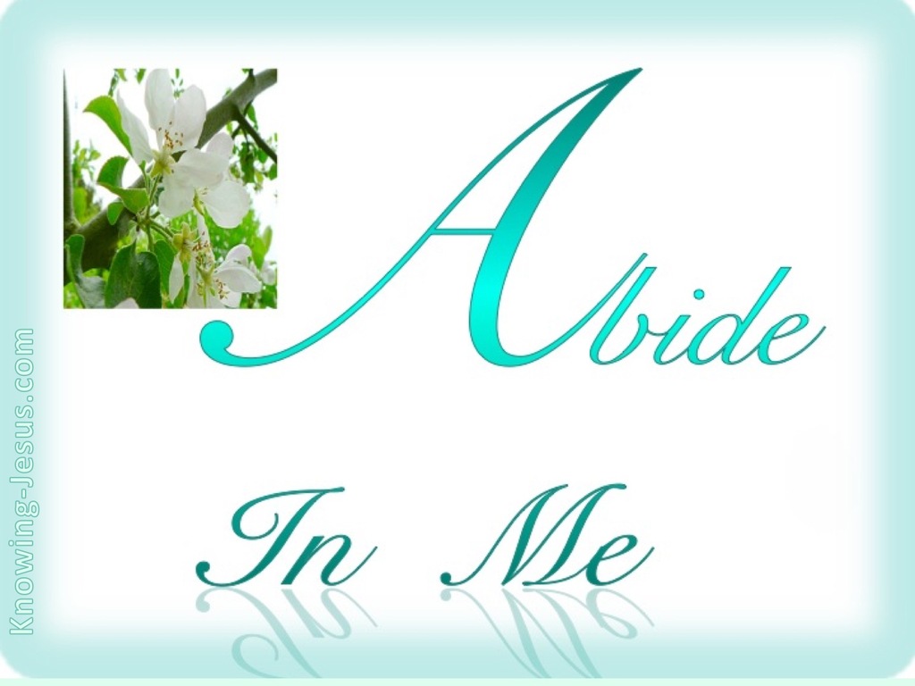 John 15:4 Abide In Me (blue)